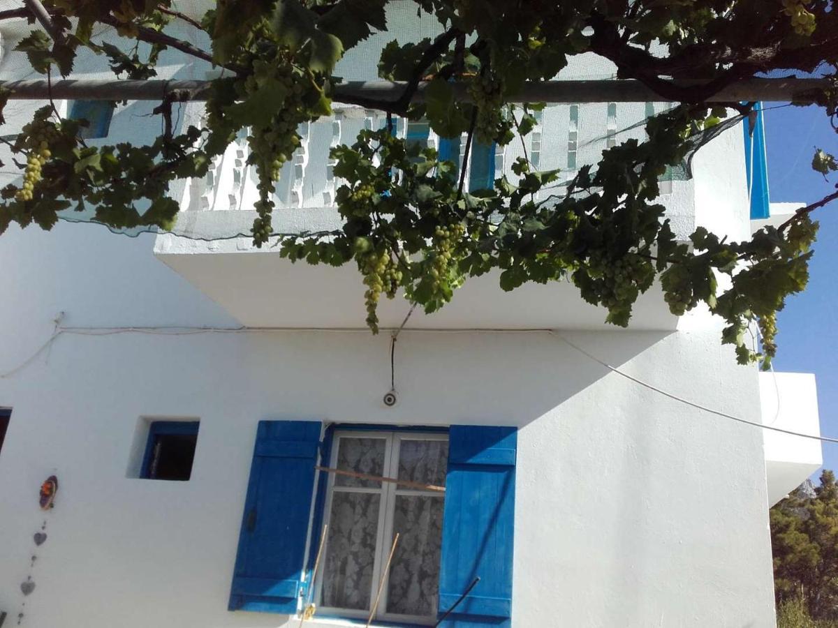 Nikos Apartments Lefkos  Ngoại thất bức ảnh